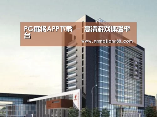 PG麻将APP下载案例展示四